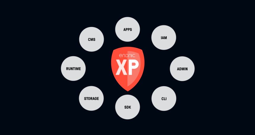 Enonic xp plattform figur